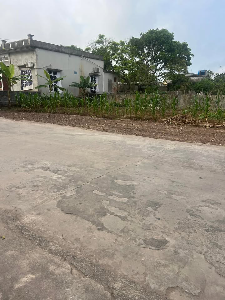 Đất Lô Góc 100m² Huyện Tiền Hải, Thái Bình - Giá Tốt Đầu Tư