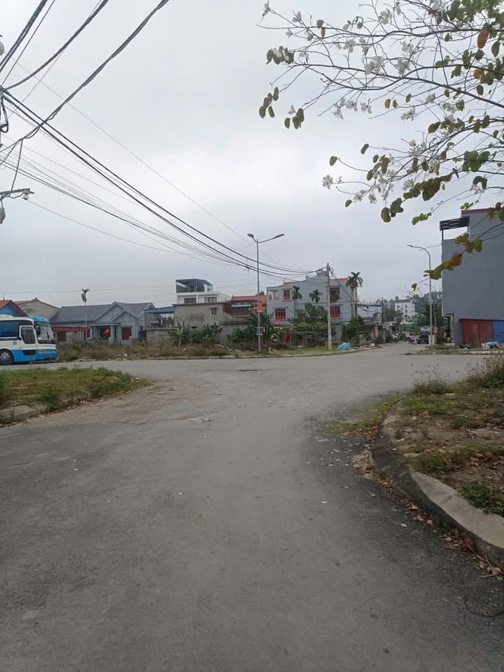 Bán đất 108m² mặt tiền 6m đường nhựa Khâu Da, Dương Kinh, Hải Phòng - 3.x tỷ