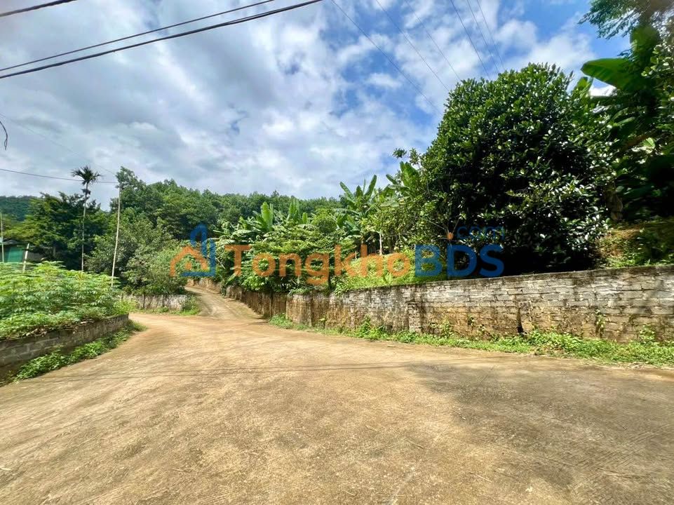Bán Đất Nền Thanh Sơn, Phú Thọ 500m² - Sổ Đỏ Thổ Cư, Đường Ô Tô