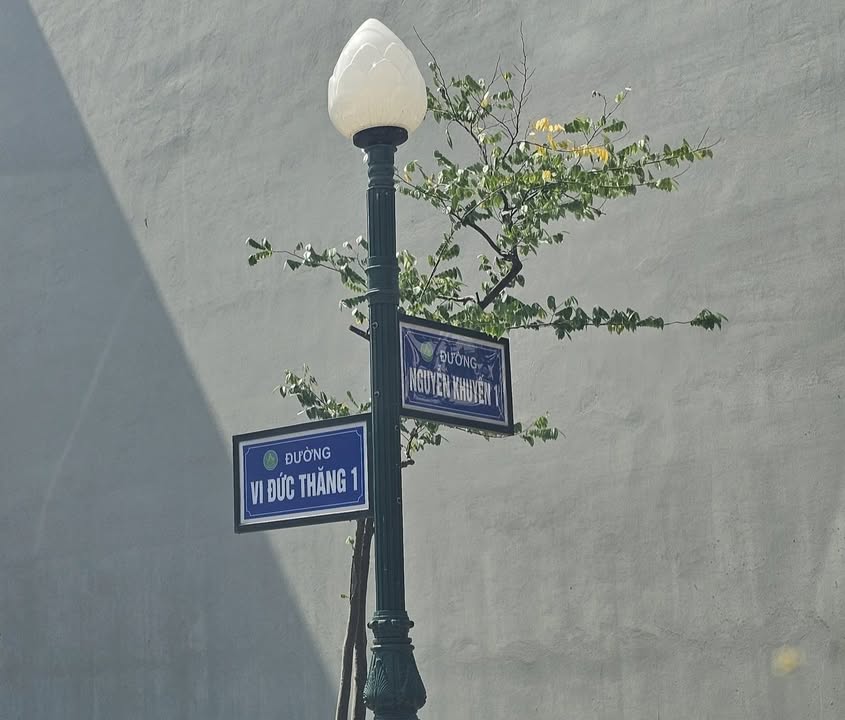 Bán Đất Vàng 72m² Mặt Tiền 4.5m Đường Đức Thăng 1, TP Bắc Giang - Giá Tốt