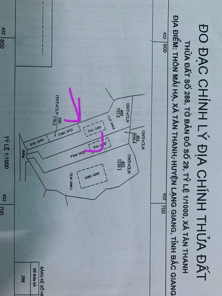 Đất Vườn Lạng Giang 1300m² - Sổ Hồng Sẵn Sàng