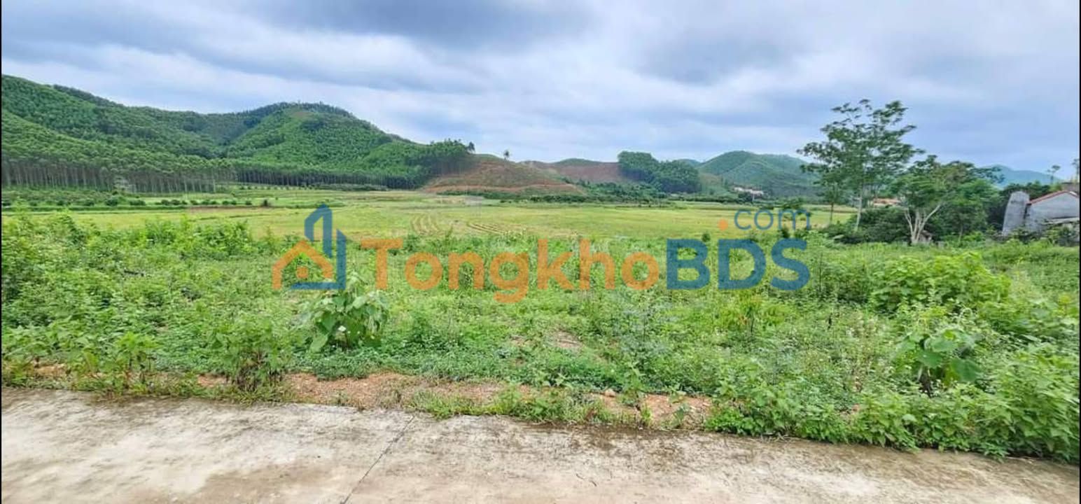 Đất Yên Dũng, Bắc Giang 1400m² Thổ cư 100% - Giá 800 Triệu