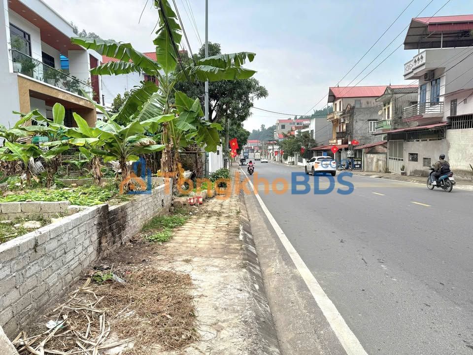 Đất Mặt Tiền TL299 Yên Dũng, Bắc Ninh - 97.8m² Kinh Doanh Sẵn Sổ