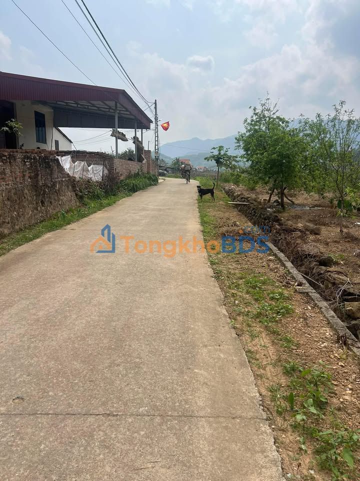 Đất Lục Nam, Bắc Giang 120m² - Giá chỉ 5xx Triệu, Cơ Hội Đầu Tư