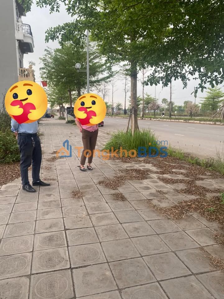 Đất nền Lạng Giang 80m² - Mặt tiền trục 37m, giá 29 tỷ