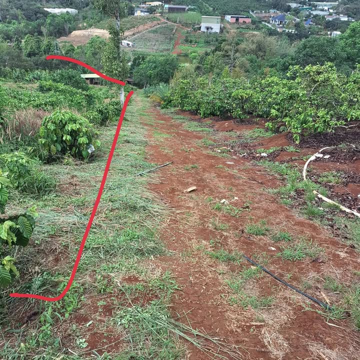 Bán Gấp 3.6 Sào Đất Vườn Nghĩa Thắng, Đắk Nông - Gần Bệnh Viện Tỉnh