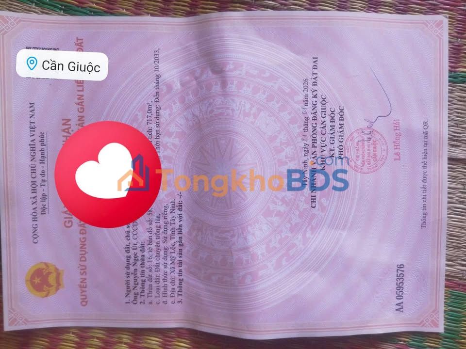 Bán Đất Lúa 717m² Sổ Đỏ Xã Lúa, Cần Giuộc - Giá 700 Triệu