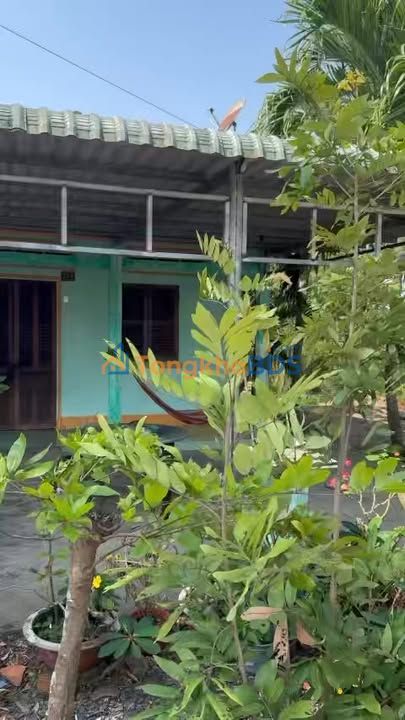 Nhà Vườn 500m² Full Thổ Cư Cần Giuộc - Giá 3 Tỷ Tlcc