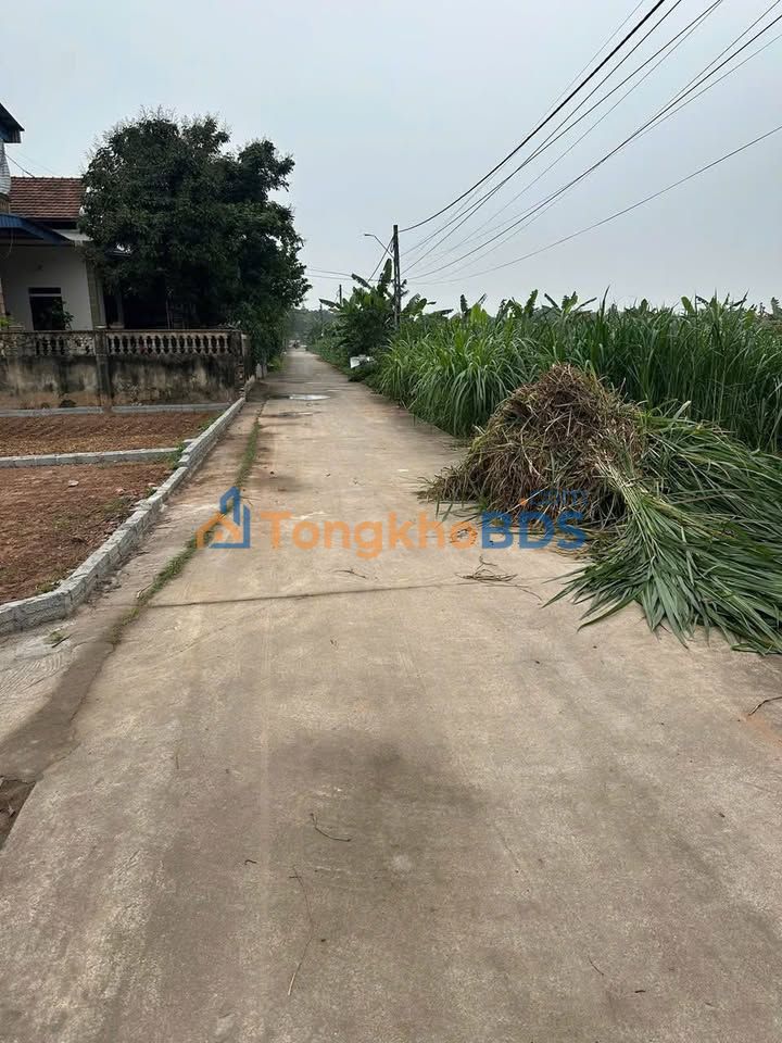 Đất thổ cư Mai Động, Kim Động 60m² - Sổ hồng sẵn, gần đường Di sản