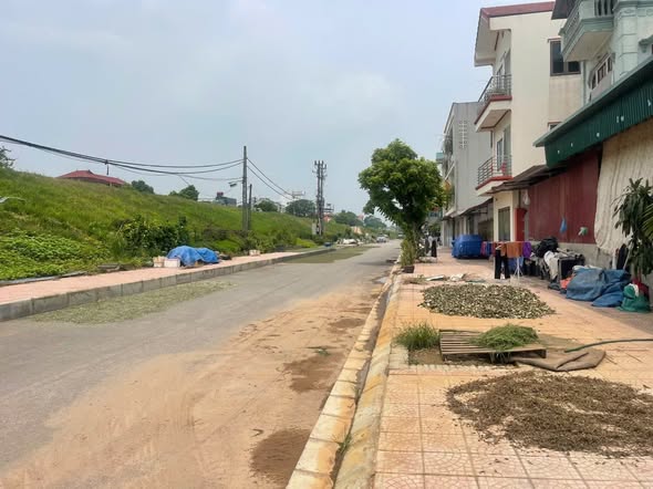 Đất 98m² 2 Mặt Ngõ Sát Đê Dương Hà, Gia Lâm - Sẵn Sổ