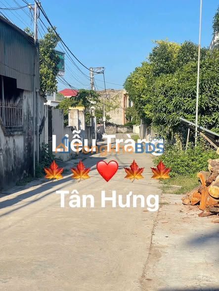 Đất nền Liễu Tràng, TP Hải Dương - 71m² - Sổ đỏ sẵn sàng, kinh doanh tốt