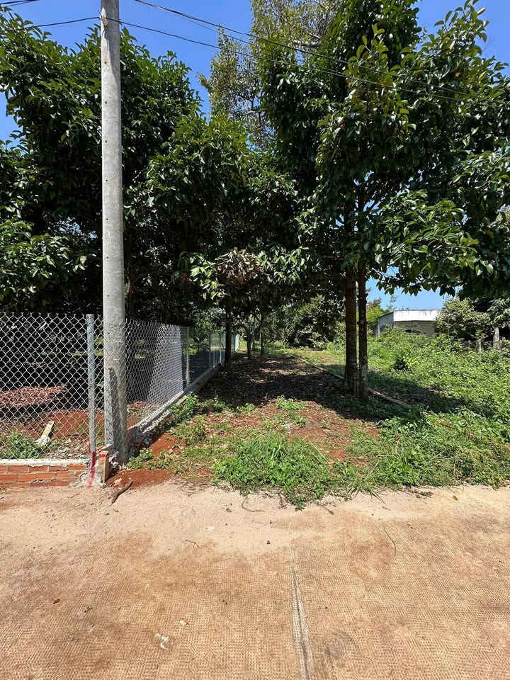 Đất nền F0 Bình Lộc, Long Khánh - Chỉ 980 Triệu/Nền 145m² Thổ Cư