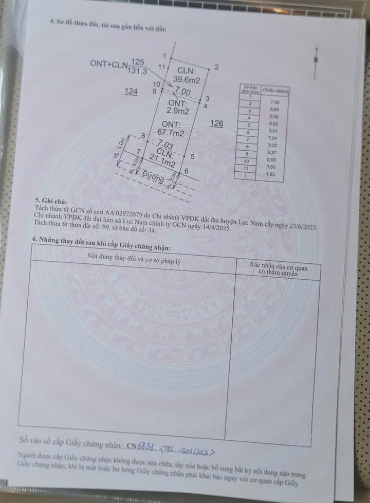 Bán Gấp Đất Lục Nam 131m² - Mặt Tiền 7m - Gần KCN Hồng Hải