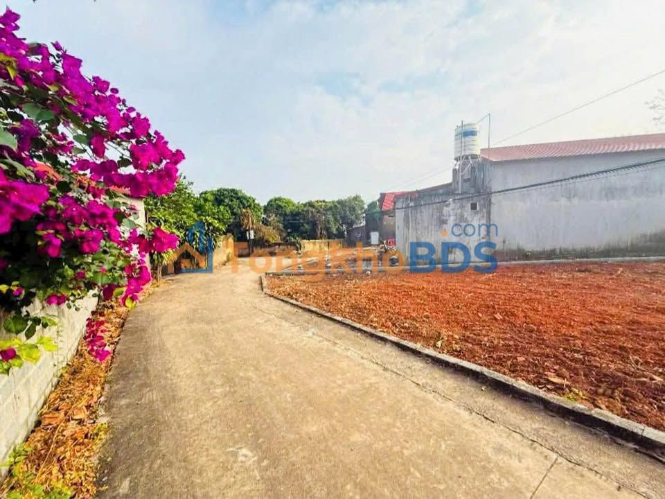 Đất Nền Lục Nam, Bắc Giang 128m² - Đầu Tư Hời Chỉ Hơn 300 Triệu