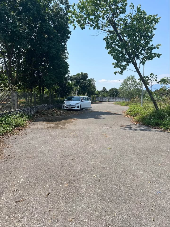 Đất nền Ba Vì 64m² dưới 2 tỷ - Sổ đỏ sẵn sang tên