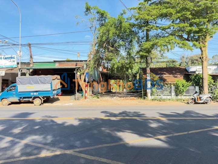 Đất nền Tỉnh Lộ 8 Buôn Ma Thuột 147m² 3.75 tỷ - Sổ đỏ chính chủ