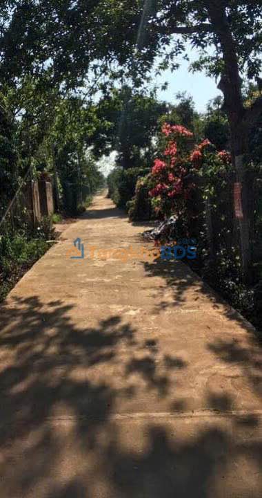 Đất nền QL26 Ea Tu 250m² giá 160 triệu/m - Sổ đỏ chính chủ