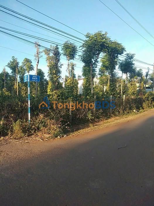 Bán Đất Buôn Ma Thuột - Mặt Tiền N2 507.8m² Thổ Cư 151m² - 3.79 Tỷ