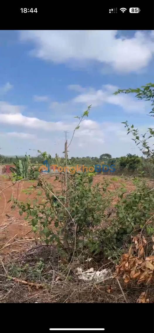 Đất nền Buôn Ma Thuột 500m² 699 triệu - Sổ đỏ chính chủ