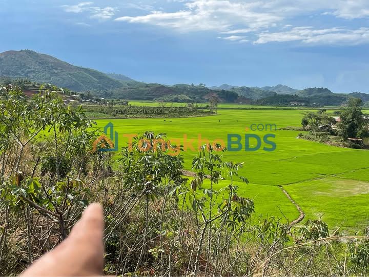 Đất nền xã Quảng Phú, Krông Nô 2ha 5.56 tỷ - Sổ đỏ chính chủ