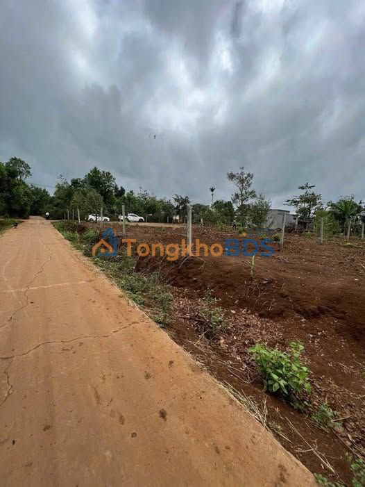 Đất nền Cư ÊBur 125m² 395 triệu - Đất thổ cư 100%