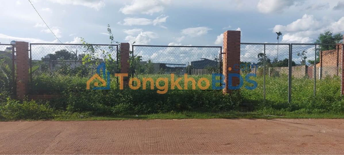 Đất Vườn Đắk Lắk - 840m² Sổ Hồng Riêng, Giá 6.5 Tỷ, Lộc Phát Cây Phượng