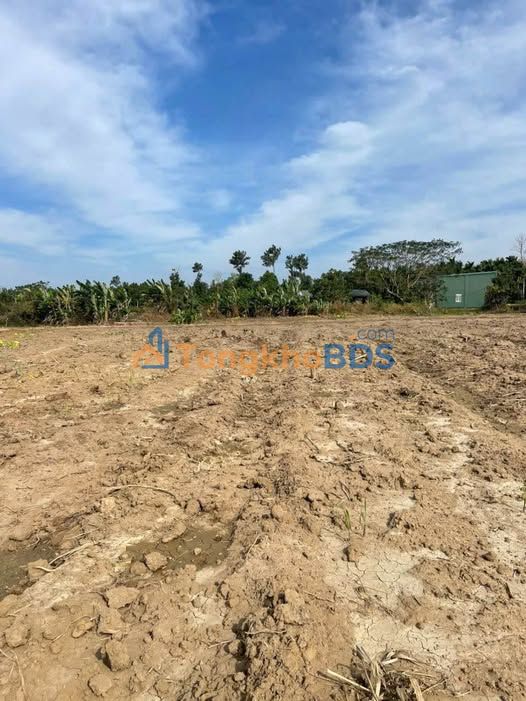 Bán Gấp 3 Bìa Đất Vườn 525m² Xã Hòa Khánh, BMT - Giá Đầu Tư 255 Triệu