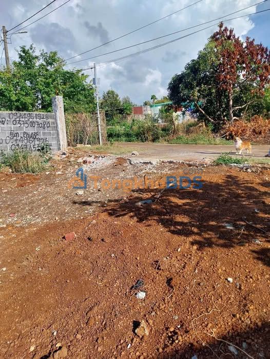 Bán Đất Hẻm 196 Y Wang, Buôn Ma Thuột - 120m², Hướng Đông Nam, Giá 1.6 Tỷ