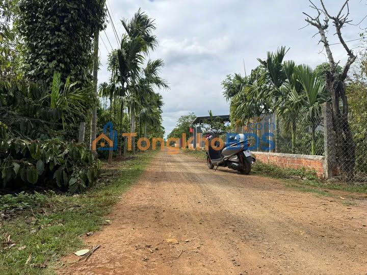 Đất nền Tránh Đông Buôn Ma Thuột 1.800m² 3,5 tỷ - Sổ đỏ chính chủ