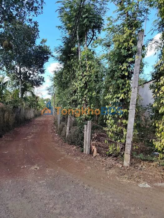 Đất Buôn Ma Thuột 7920m² - 2 Mặt Tiền, 236m² Thổ Cư, Thu Nhập Ổn Định