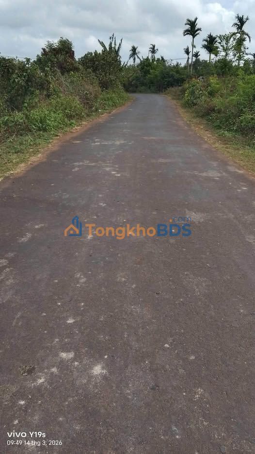 Đất Vườn Buôn Ma Thuột 3000m² Mặt Tiền Nhựa - Giá Đầu Tư 1.95 Tỷ