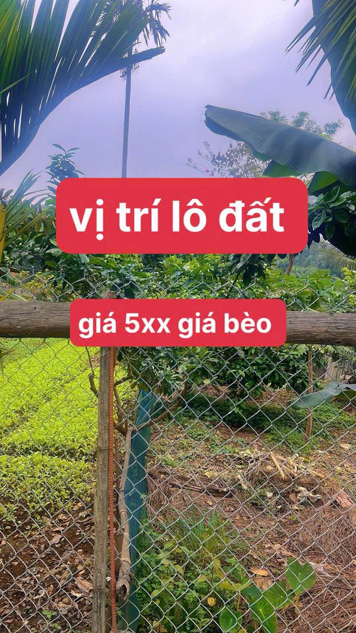 Đất Vàng Nam Cường, Lào Cai - 104m² Sổ Đỏ Trao Tay, Giá Chỉ Từ 5xx Triệu