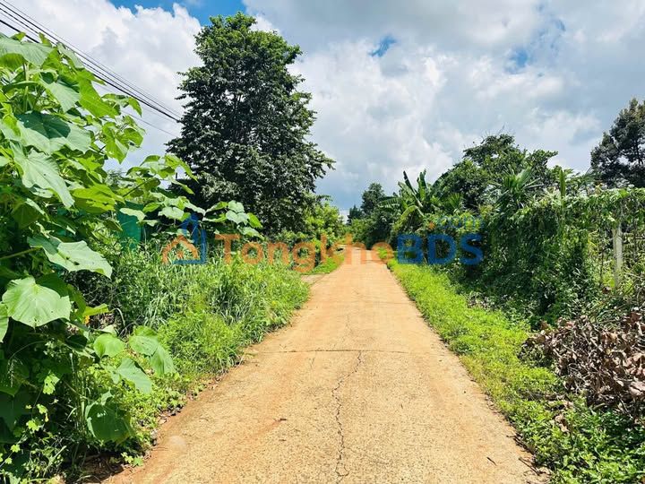 Đất Nông Nghiệp 2800m² view TP Buôn Ma Thuột - Đường Ô Việt, Giá 3.6 Tỷ