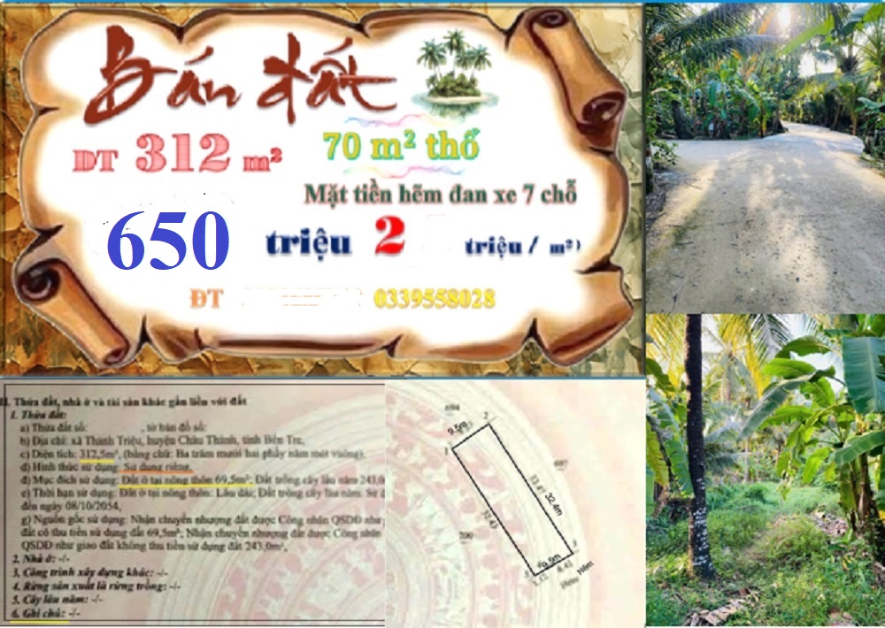 Bán Đất Nền Thạnh Phú Bến Tre 312m² Hướng Đông Nam - Giá 650 Triệu