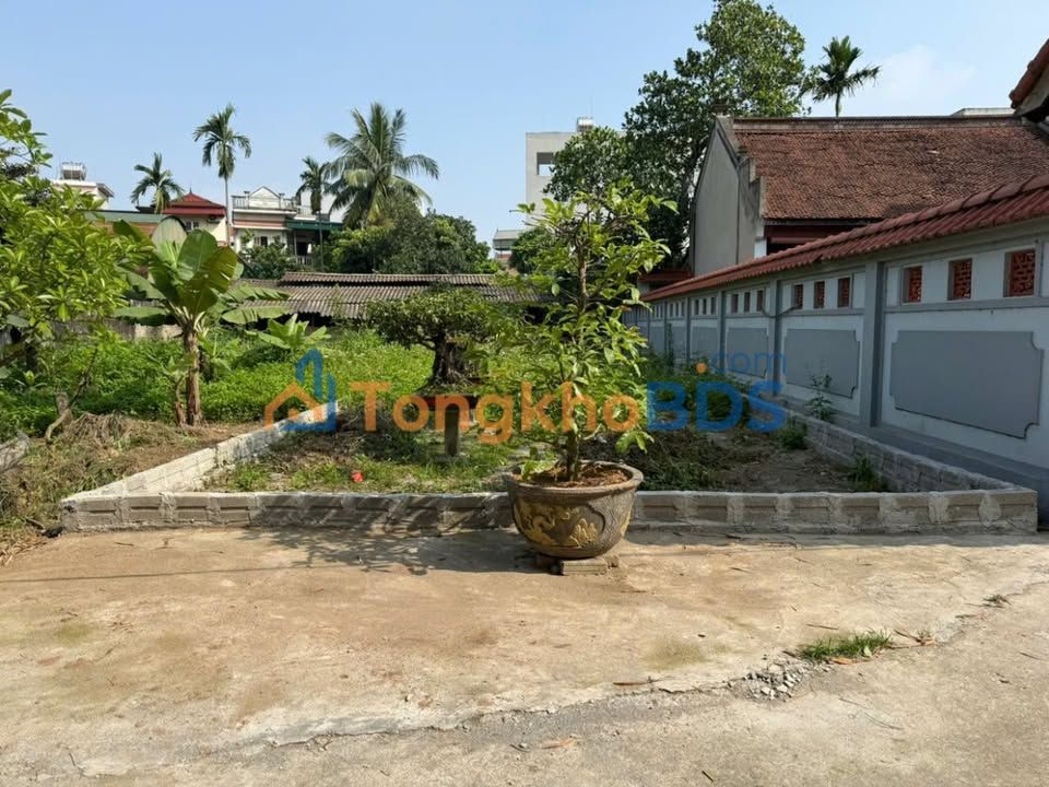 Đất Nền Vàng Phố Bình Vọng, Thường Tín 122.5m² - Sổ Đỏ Sẵn Sàng