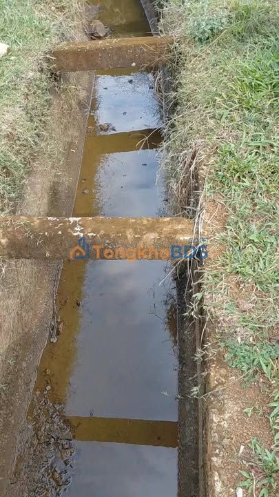 Farm nghỉ dưỡng 2ha Lộc Đức, Bảo Lâm - Sổ đỏ, đường ô tô, view đẹp giá 14.4 tỷ