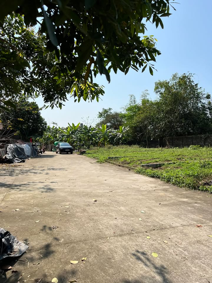 Bán Gấp Đất Nền 135.7m² TP Bắc Ninh - Đường 2 Ô Tô Tránh Nhau