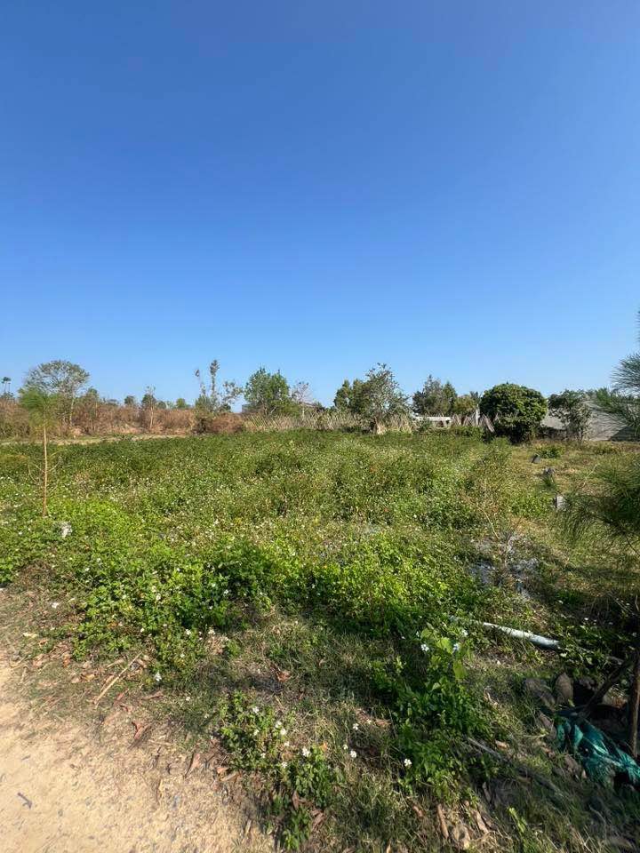 Đất Vườn Đăk Tô, Kon Tum - 750m² Sổ Tay Giá Đầu Tư 1 Tỷ