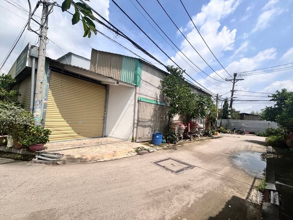 Đất Lô Góc 550m² MT Đường Xe Hơi - 16.5 Tỷ/Phước Lộc, Bình Chánh