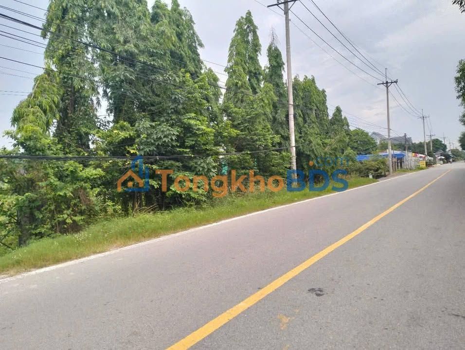 Bán Đất Vườn Rộng 3668m² Mặt Tiền Nguyễn Văn Khạ, Củ Chi - Giá 21 Tỷ