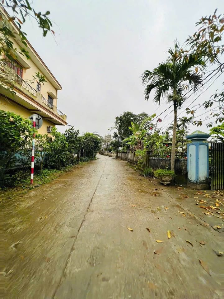 Đất Nền 80m Mặt Tiền, Gần Cổng Dã Lê Huế - Sổ Đỏ Sẵn Sàng