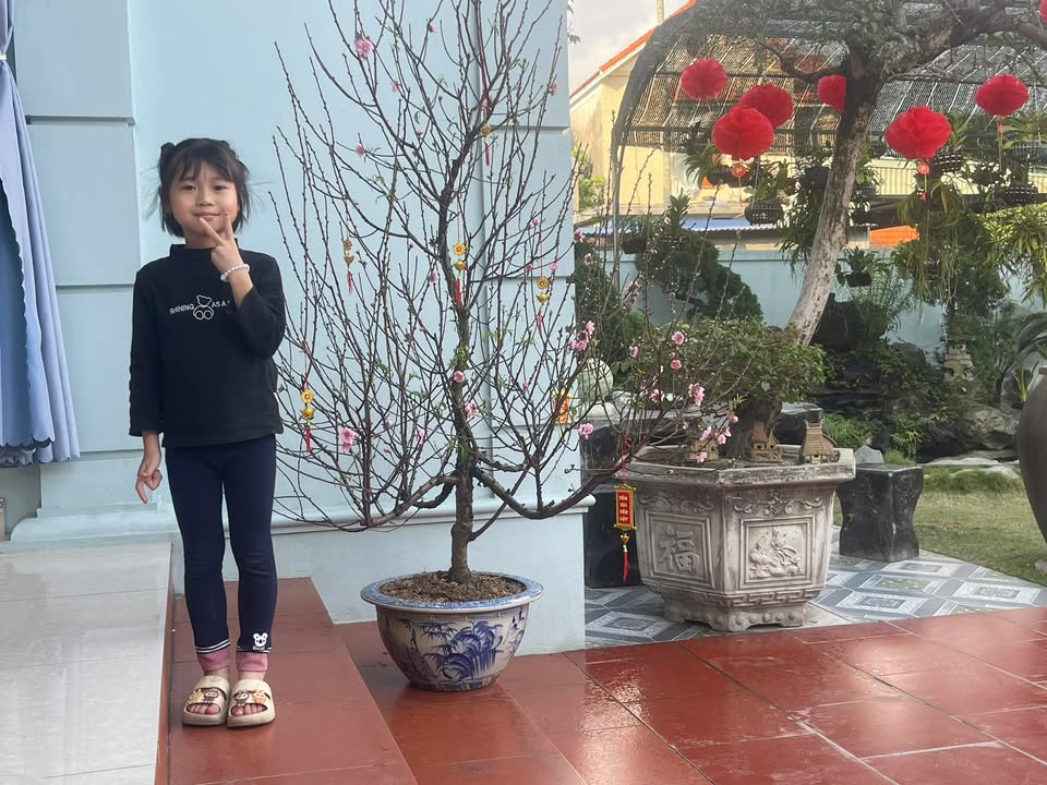 Bán Đất Nền 66m² Tdc Hoa Động, Hải Phòng - Sổ Đỏ Sẵn Sàng