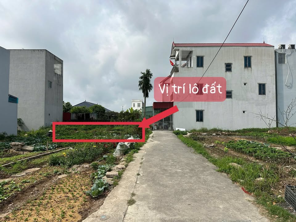 Đất Nền Hải Thành Dương Kinh 60.7m² - Sổ Hồng Chính Chủ, Giá Chỉ Từ 1.6 Tỷ