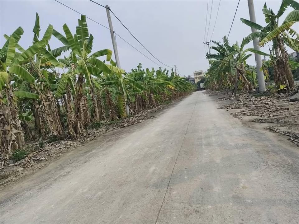 Bán đất mặt tiền Chợ Dầu, Diên Khánh 99m² - Lời ngay!