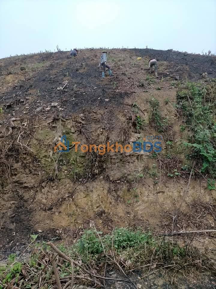 Đất Nông Nghiệp Ninh Bình 29185m² Giá 700 Triệu - Đầu Tư Hấp Dẫn