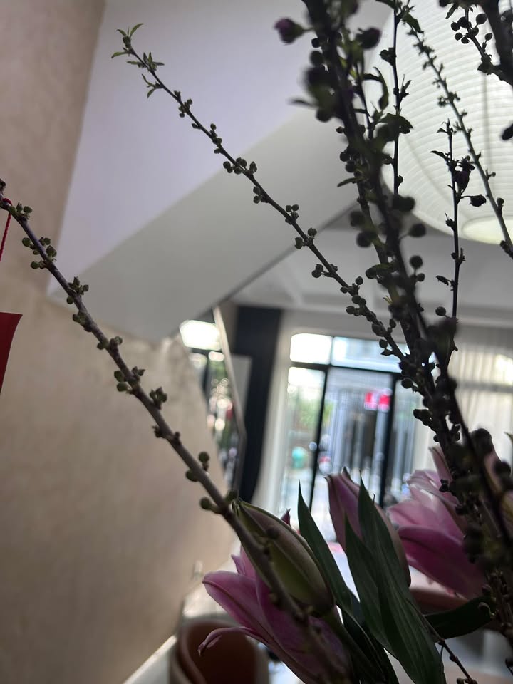 Nhà Mặt Tiền Thanh Khê - 70m² - 3 Tầng Full Nội Thất - Giá 9 Tỷ