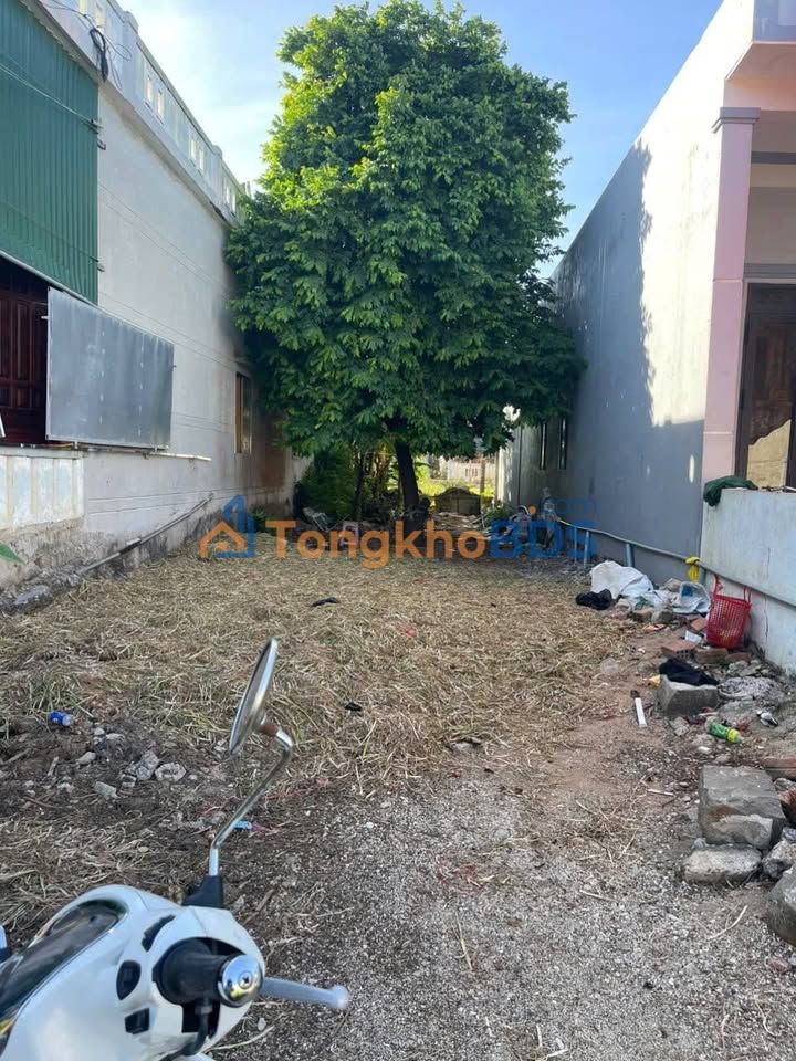 Đất nền Lý Sơn 124m² Thổ cư - Hơn 900 triệu - Gần Bãi Tắm Hang Câu