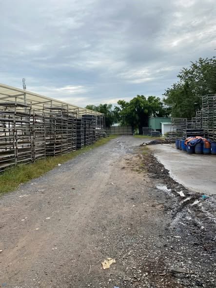 Cho thuê xưởng 4000m² An Nhơn Tây, Củ Chi - Giá 50 triệu/tháng