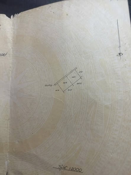 Bán Đất Lúa 1800m² Tân Phú Trung, Củ Chi - Tiềm Năng Mở Đường, Gần BV Xuyên Á