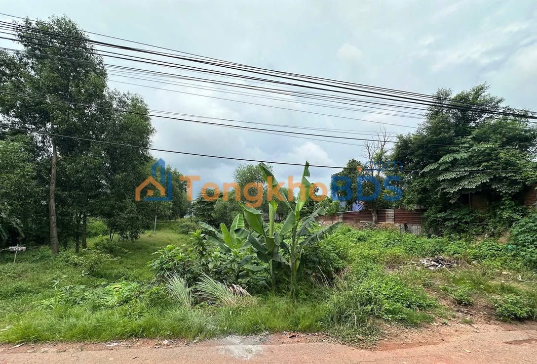 Đất Vàng Phú Hòa - 327.8m² Sổ Hồng Riêng, MT Nguyễn Thái Bình